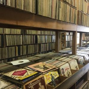 Meet your Posher, Alfredo